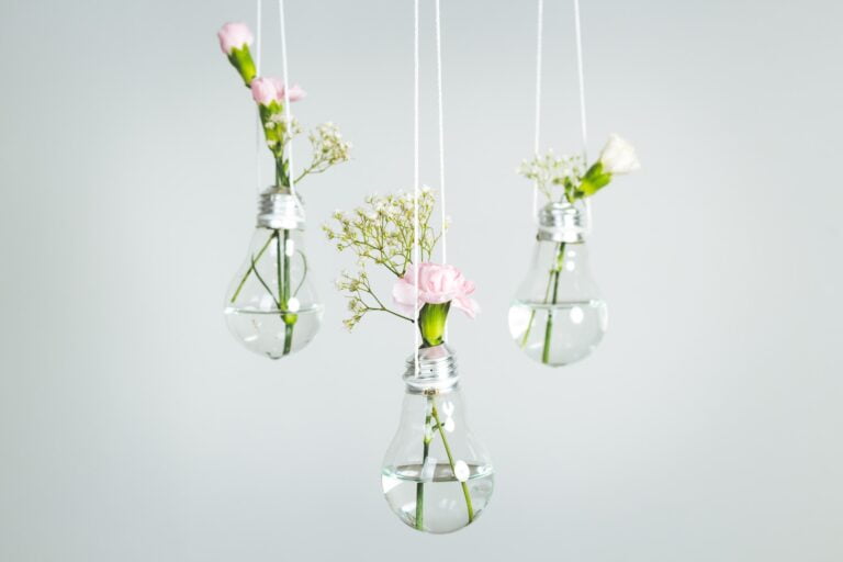 Quais são algumas opções sustentáveis para a decoração da minha casa? 11 sustentáveis