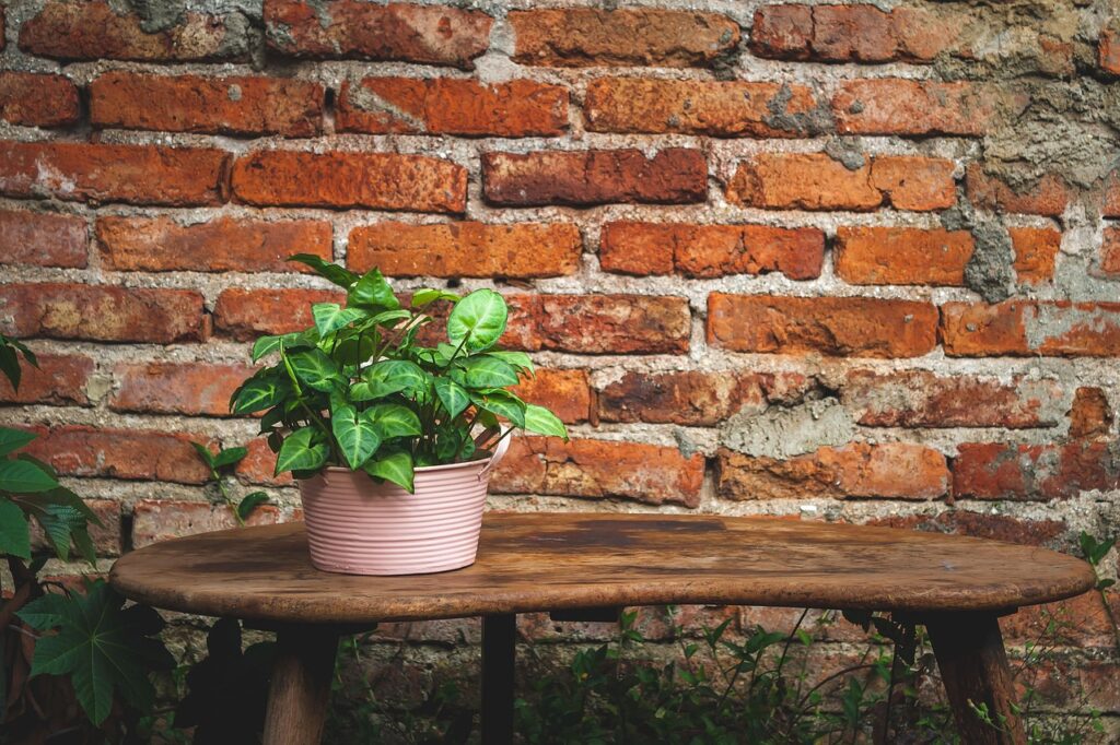 Centro de mesa com flores naturais: ideias práticas para dar vida ao seu lar 1 Centro de mesa com flores naturais